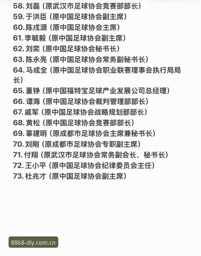 手机版 中国足协第三批禁足名单详解:17人终身禁赛48人受罚
