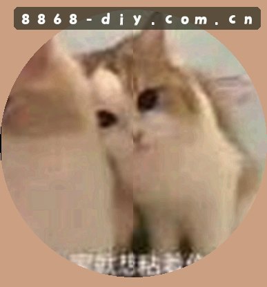 张强